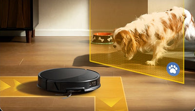 Automatic Pet Recognition